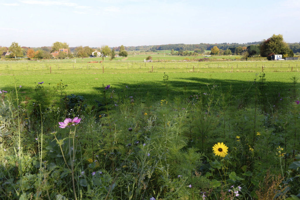 De Wageningse Eng – Wiki Wageningen